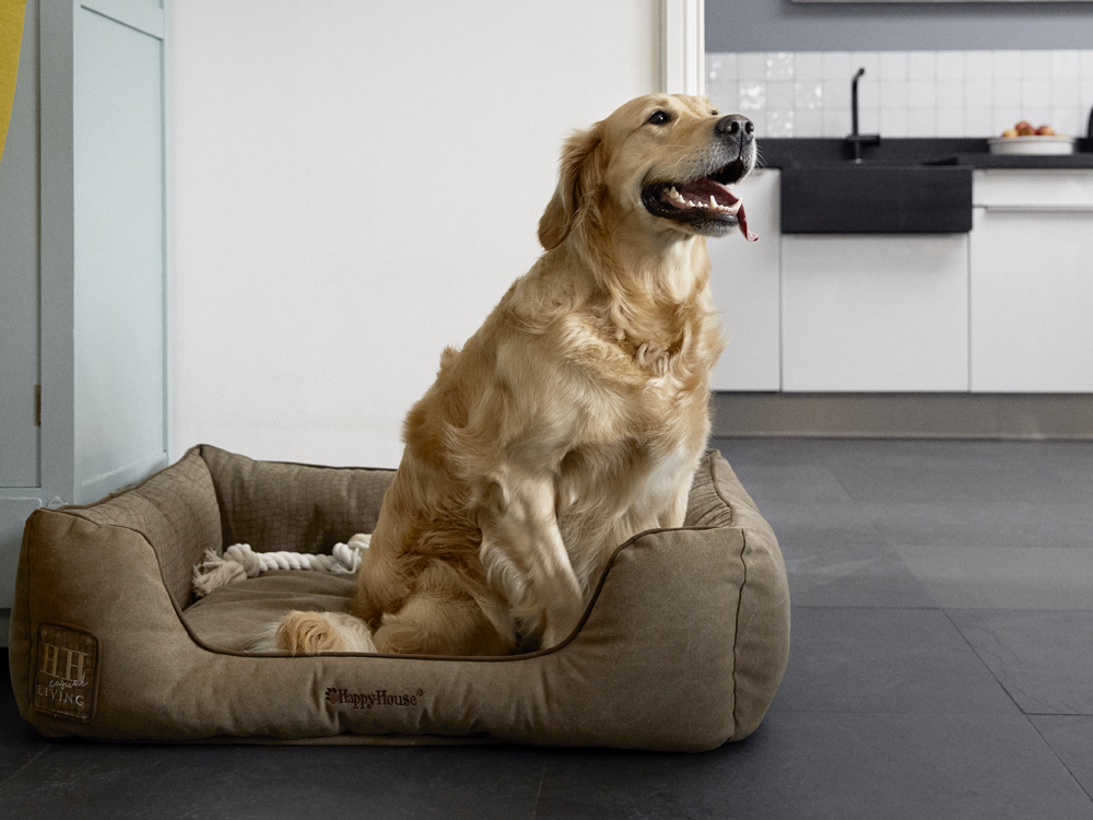 slapen hondenkussen hond welkoop